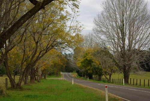 Herbst in New South Wales